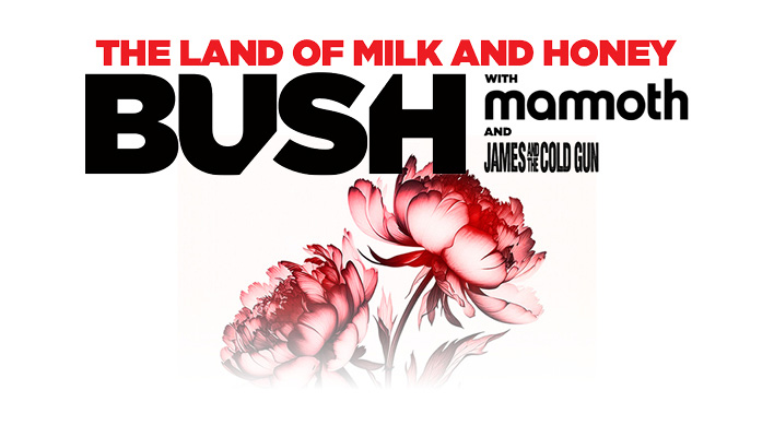 Bush The Land of Milk and Honey