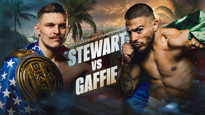 Stewart vs Gaffie