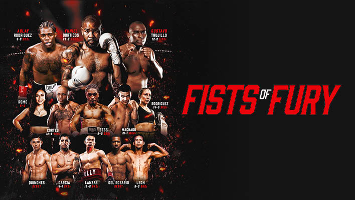 Fists of Fury Series
