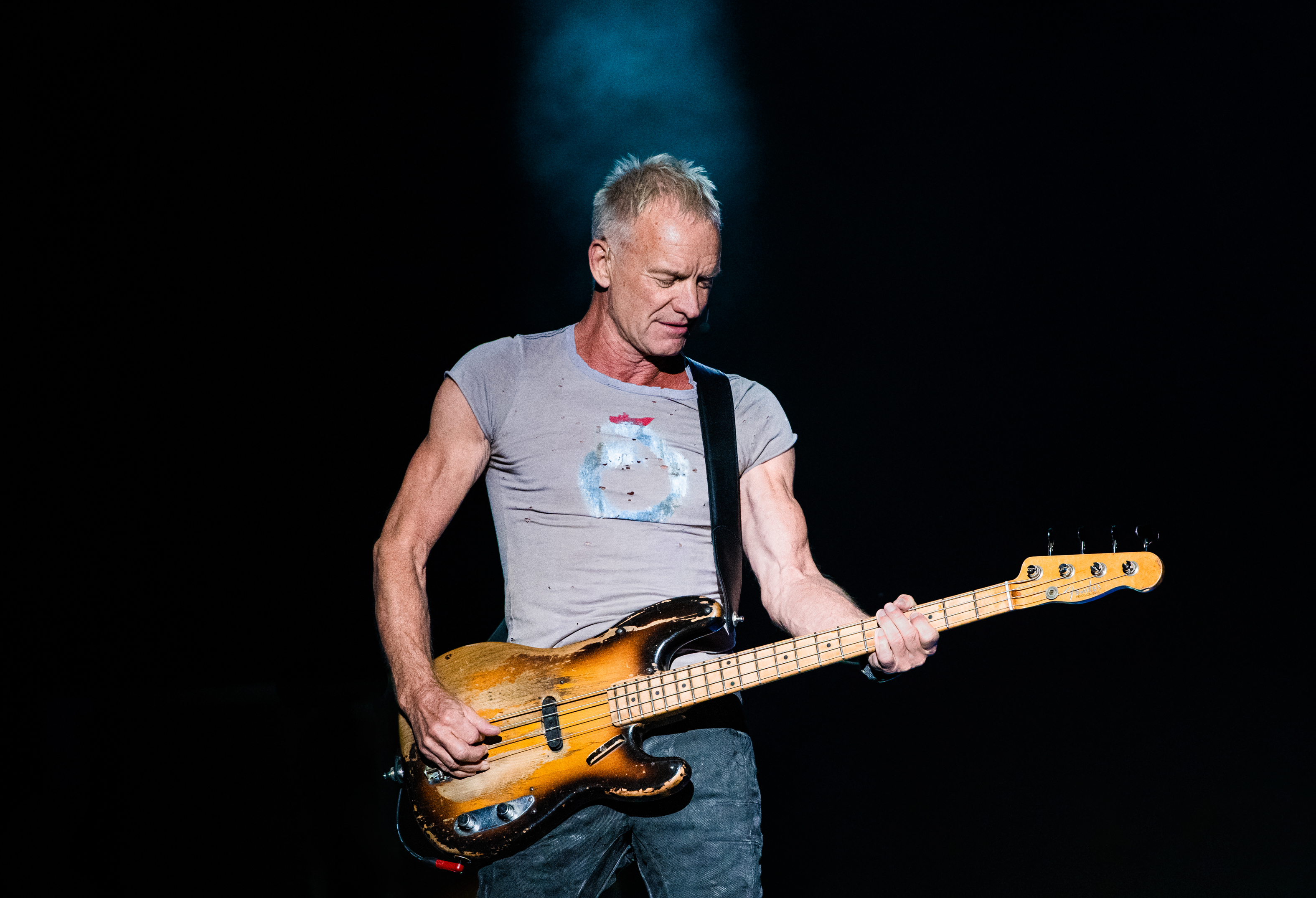ent_photo_sting